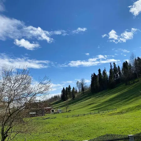 ヴィラ U Basi Leśnica