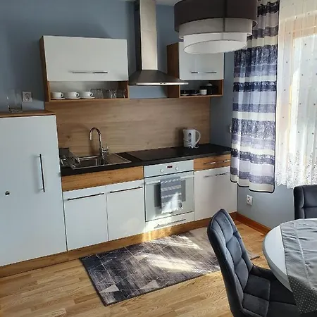 Villa U Basi Leśnica